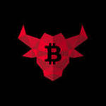 Bullcoin安卓版数字资产管理工具使用