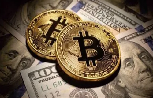 环球币移动端应用界面展示