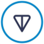 toncoin币app本功能