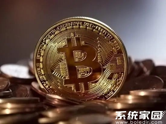 数字资产管理界面