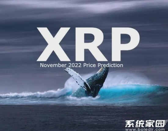 XRP钱包注册界面示意图