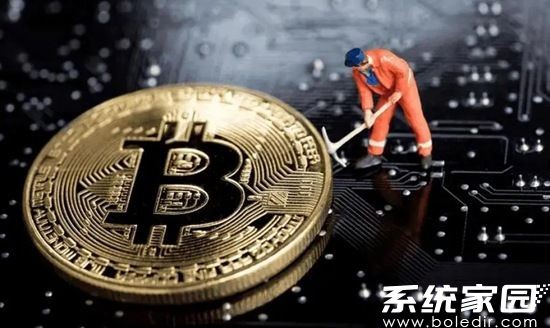 Kas币技术生态发展图示