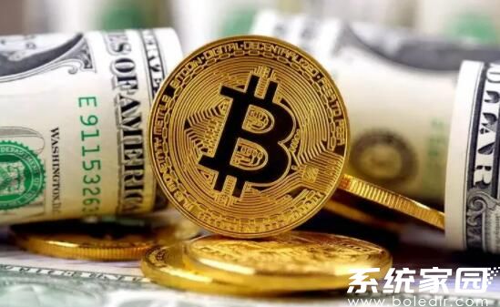 中币市场价值分析