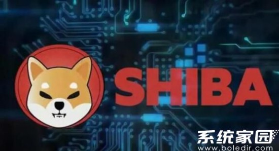 数字资产交易平台运营调整