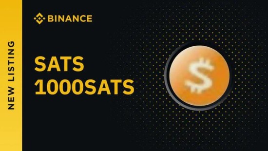 1000SATS币最新动态及市场趋势分析
