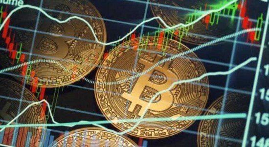 派币2025年8月官方动态解析