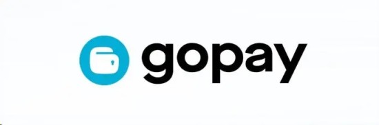 Gopay钱包使用指南