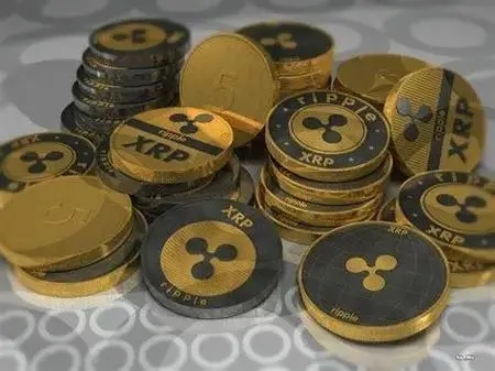 波币钱包账户管理操作指南