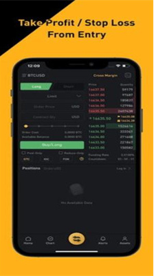 bybitu4ea4u6613u6240u5b98u7f51u7248