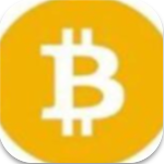 BSV钱包手机版安全交易与资产管理v1.0 免费版