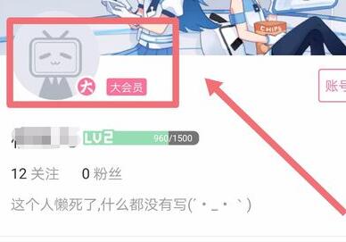 哔哩哔哩大会员自动续费取消教程