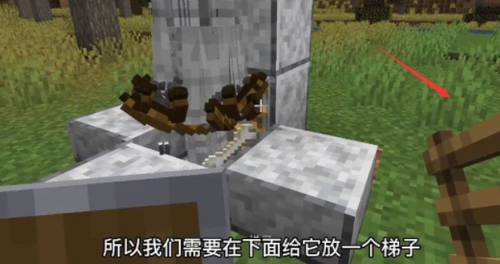 生物放置示意图