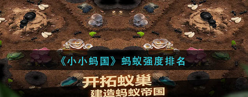 小小蚂国蚂蚁强度排行榜