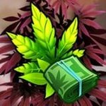植物种植大亨经营乐趣v2.14.0 无限钻石版