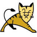 Tomcat免安装版服务器开源工具应用v10.0.14 中文版