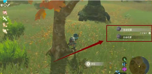 生命松露生长环境示意图