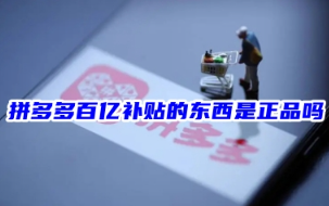拼多多百亿补贴活动界面示意图