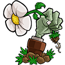 植物大战僵尸E版支线新版塔防策略v1.2 无限阳光版