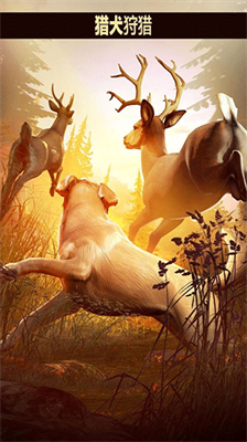 u730eu9e7fu4ebau514du8d39u7248u65e0u9650u91d1u5e01u65e0u9650u94bbu77f3