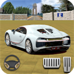 真实驾驶模拟赛车停车大师中文版v1.0 去广告版