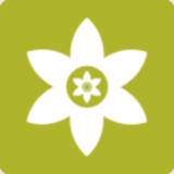 安装狮手机文件高效管理方案v1.3 安卓版