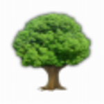 Scratchboard中文版高效管理数据信息工具