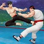 功夫大师全角色畅玩资源解锁版