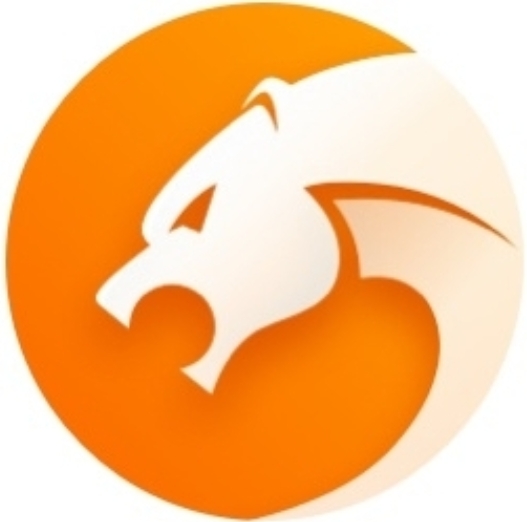 猎豹浏览器电脑版极速安全新