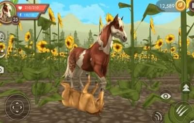 u997fu72fcu6765u4e86u514du8d39u7248