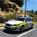真实驾驶单机赛车全解锁 v1.1 全车解锁版