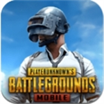 PUBG国际服安卓版下载安装