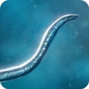 孢子模拟器中文汉化手机版微生物进化之旅