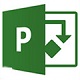 Microsoft Office Project高效项目管理解决方案4.3.5.10