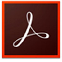 Adobe Acrobat Pro高效PDF处理方案v9.0