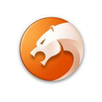 猎豹浏览器双核极速安全防护新